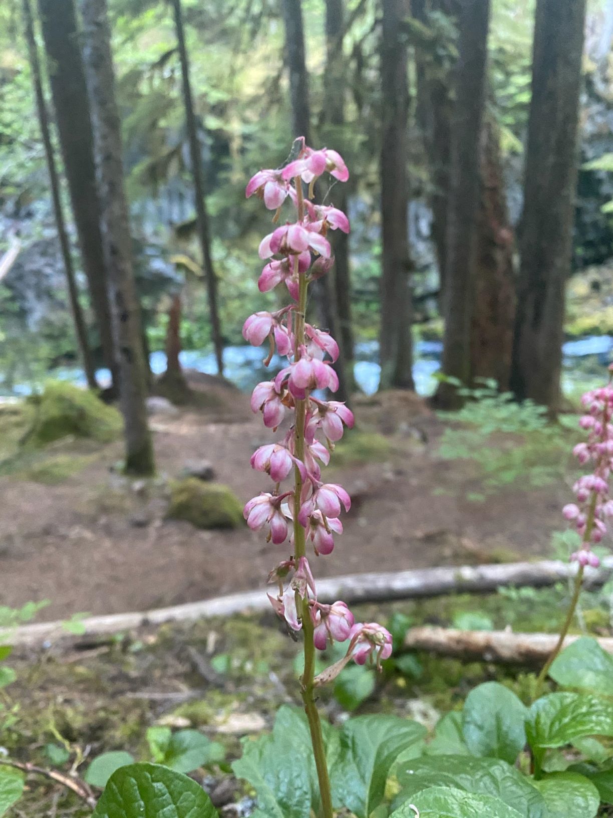 jsv;ujreap ariu ruhfp urfh peruf heiruj 